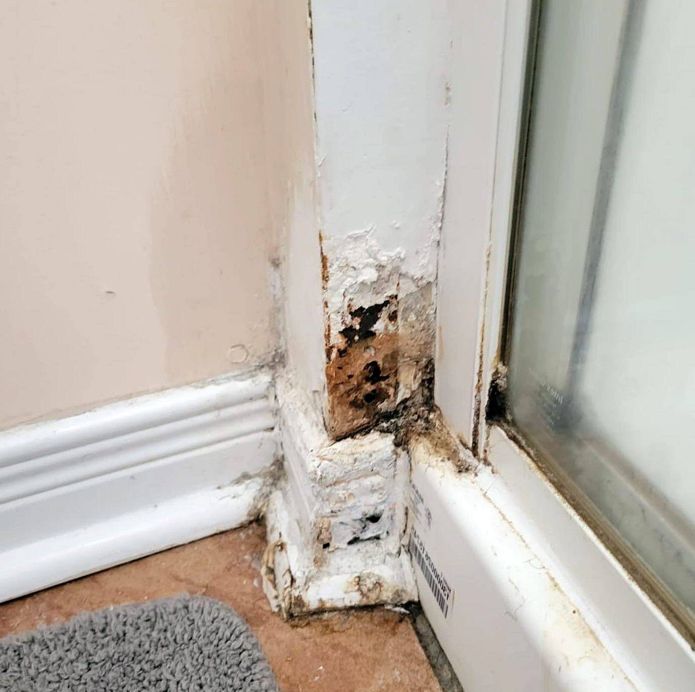 Mold growth around a window frame and baseboard