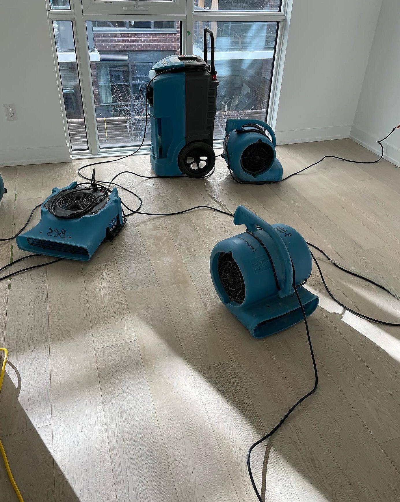 Commercial air movers drying a water-damaged room
